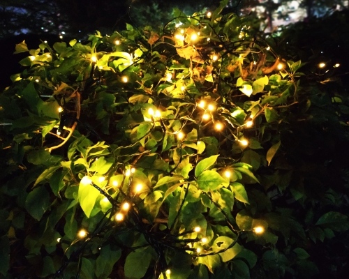 Garden Solar String Lamp